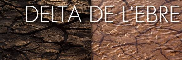 11244732_10207313016243499_5324655280010089951_o